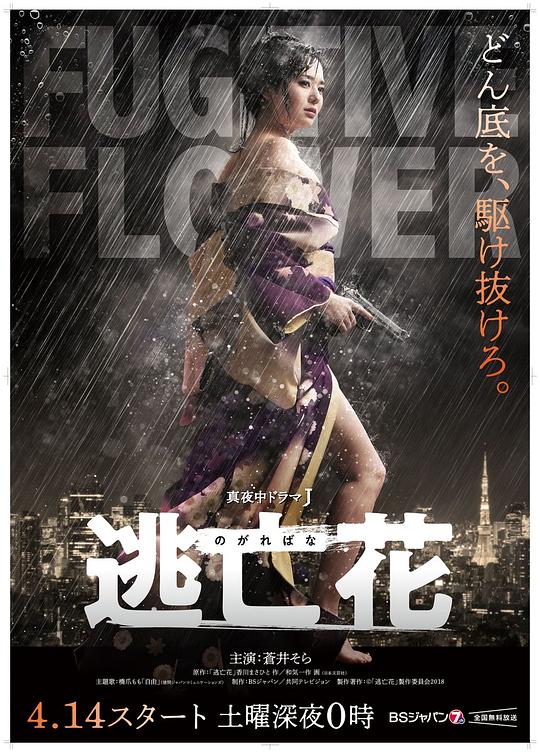 逃亡花剧情介绍