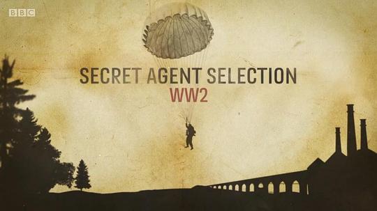 SecretAgentSelection:WW2剧情介绍
