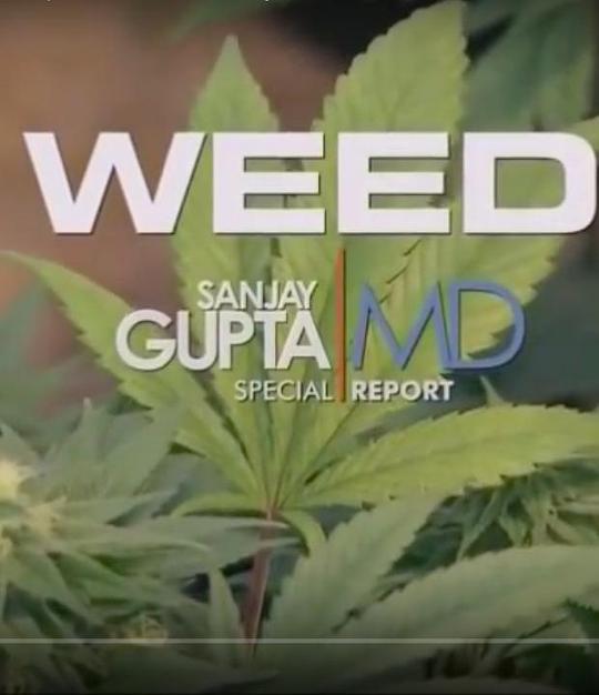 大麻:CNN纪录片剧情介绍