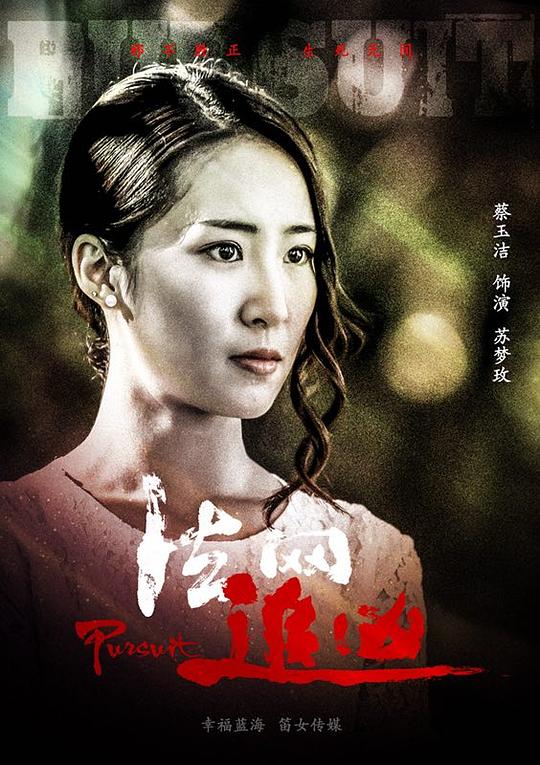 法网追凶剧情介绍