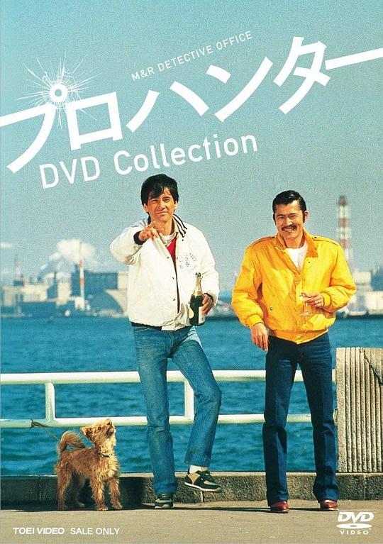 Ӿ纣