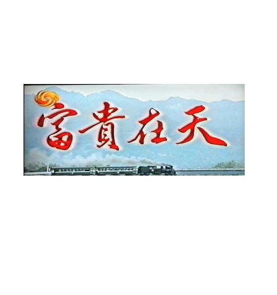 人生天地间剧情介绍