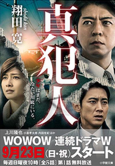 真凶剧情介绍