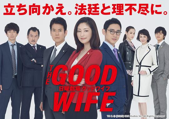 傲骨贤妻剧情介绍