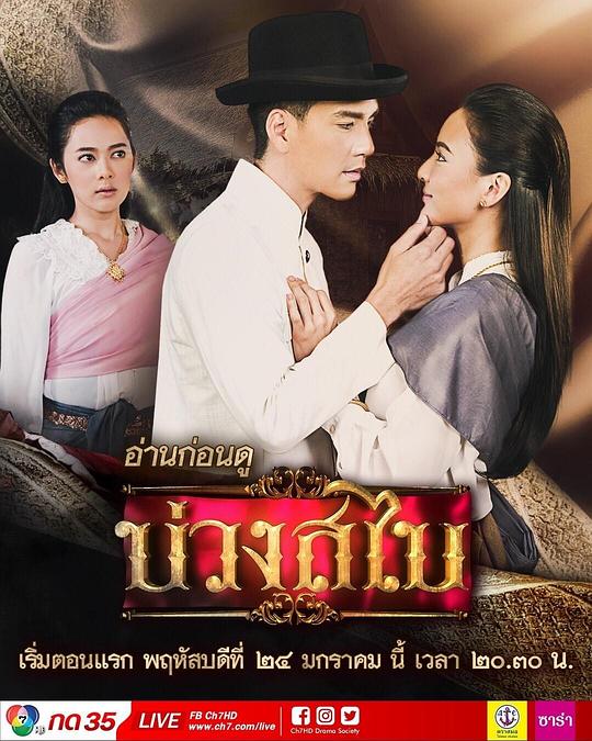 披肩圈套剧情介绍