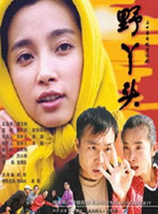 野丫头剧情介绍