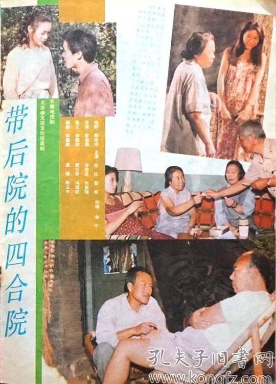 带后院的四合院剧情介绍