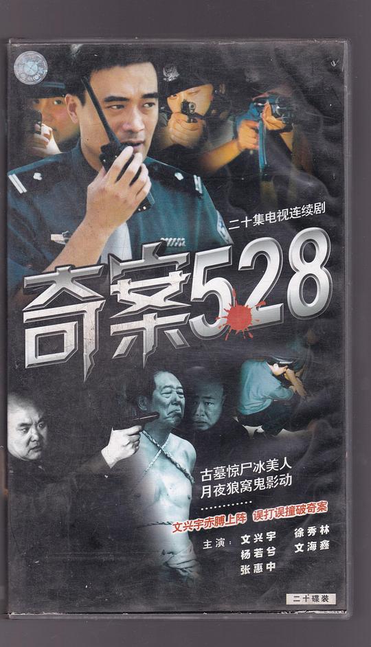 奇案528剧情介绍