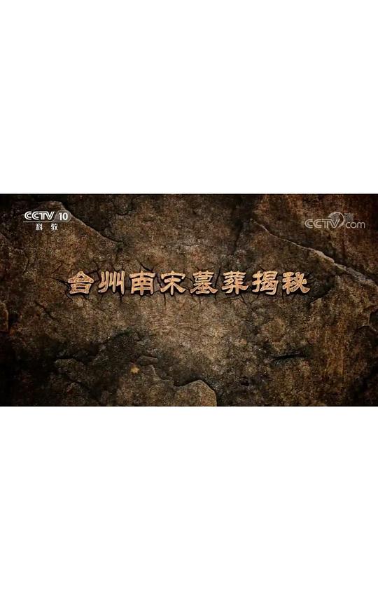 Ӿ纣
