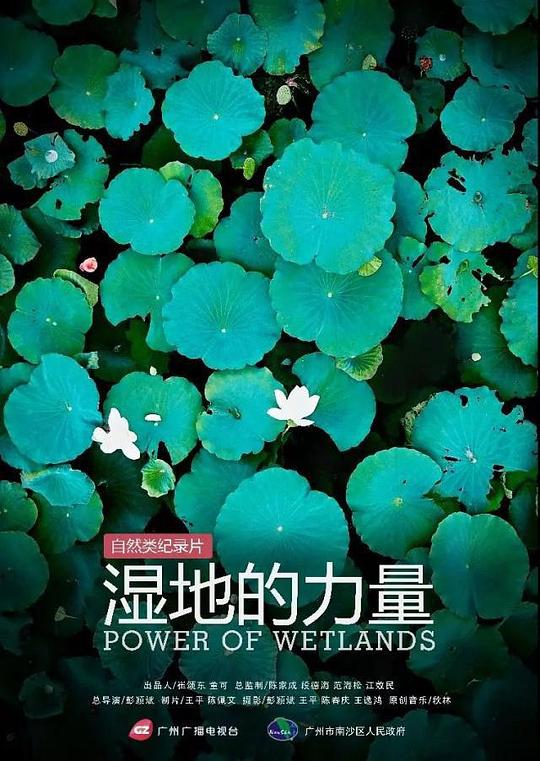 Ӿ纣