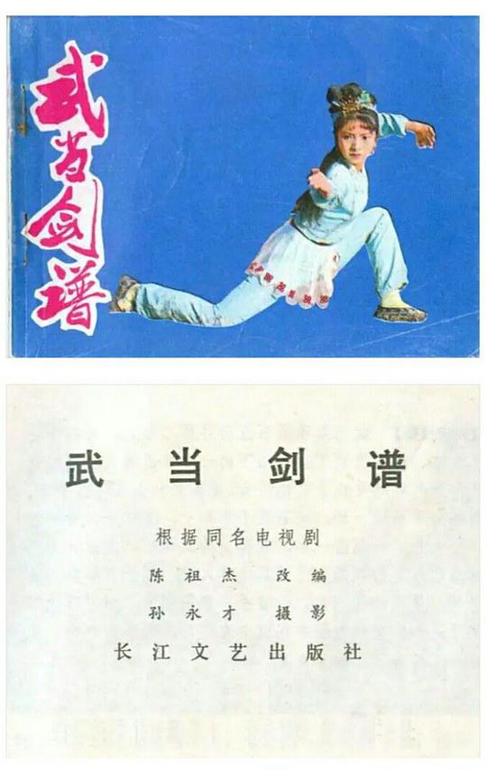武当剑谱剧情介绍