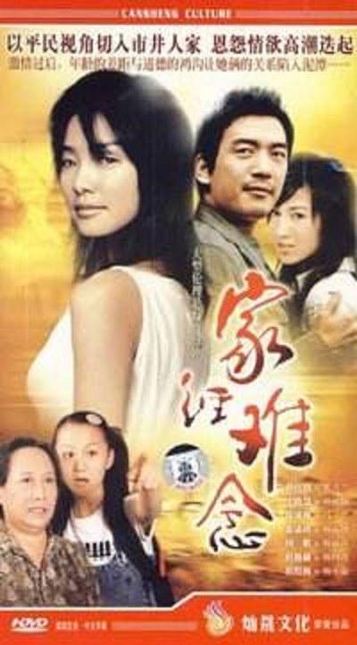 家经难念剧情介绍