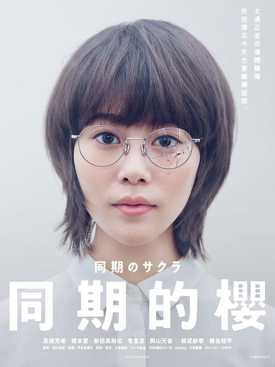 同期的小樱剧情介绍