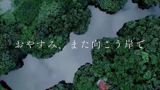 晚安,对岸再会剧情介绍