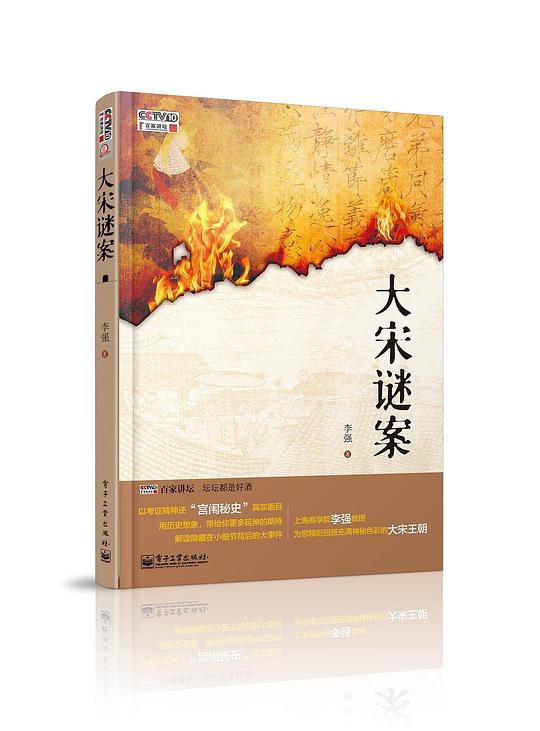 百家讲坛:大宋谜案剧情介绍