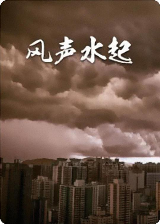 风生水起剧情介绍