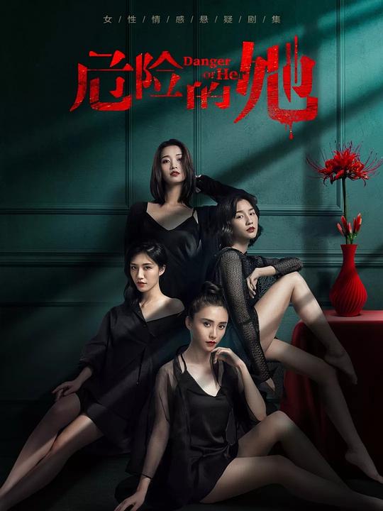 危险的她剧情介绍