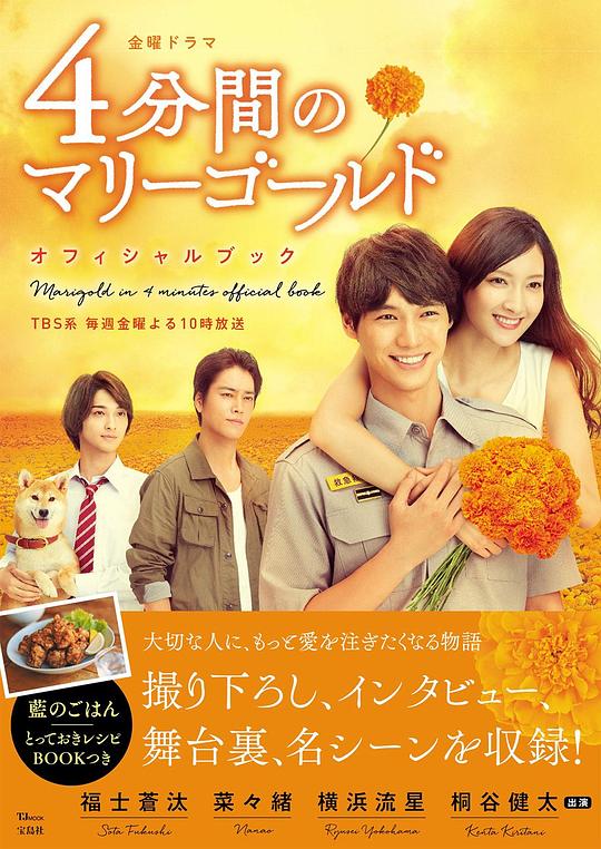四分钟的金盏菊剧情介绍