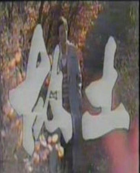 故土剧情介绍