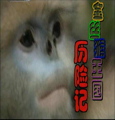 金丝猴王国历险记剧情介绍