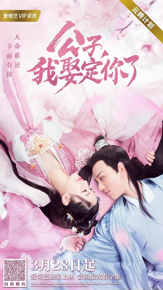 公子,我娶定你了剧情介绍