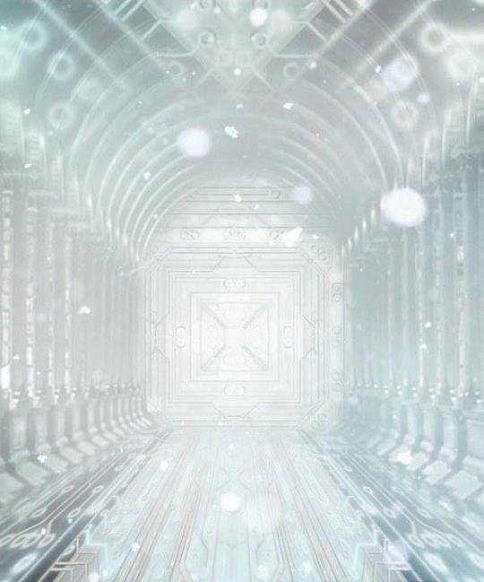 Ӿ纣