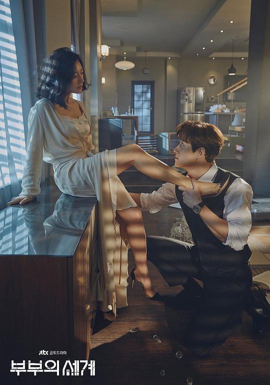夫妻的世界剧情介绍