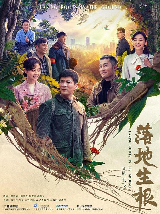 落地生根剧情介绍
