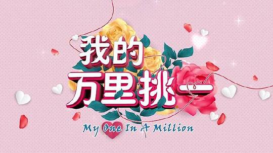 我的万里挑一剧情介绍